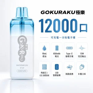 GOKURAKU 極樂 一次性電子煙｜12000口 13W恆定輸出 ICE冰感 智慧螢幕顯示｜8種口味